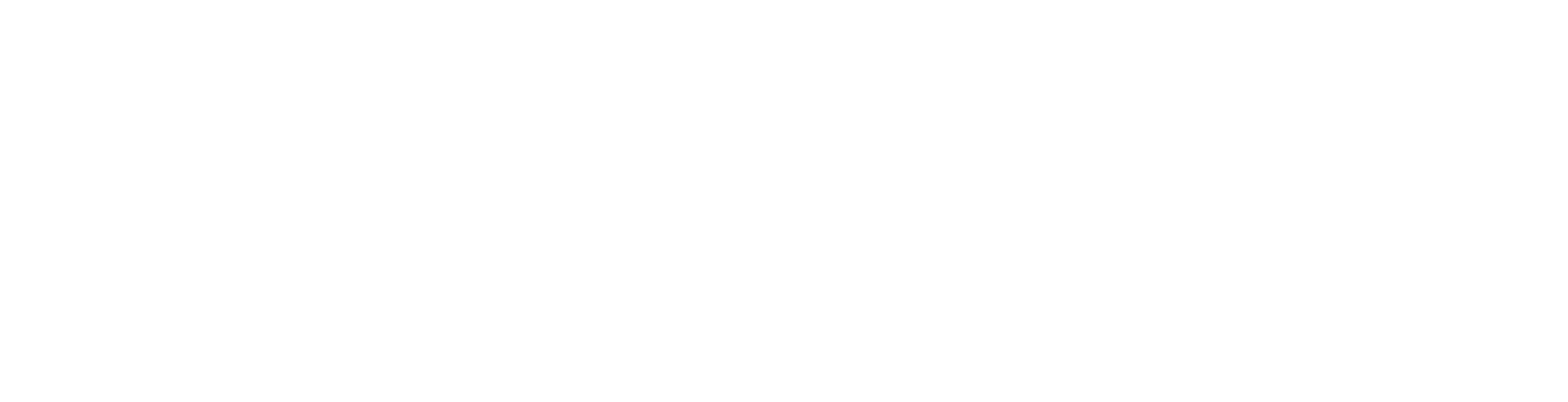Logo EduBrain